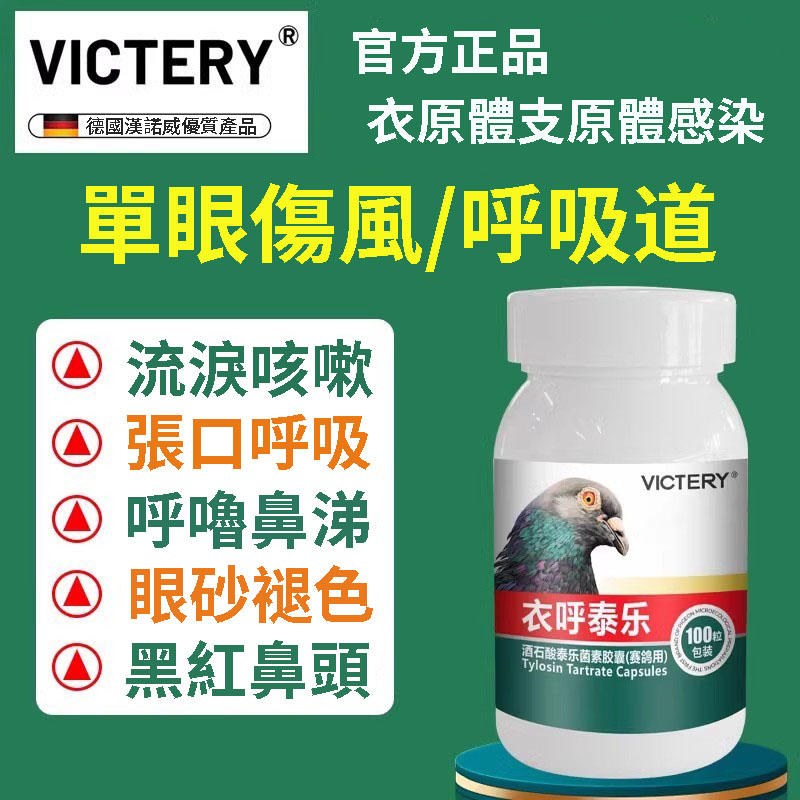 七聯鴿抗